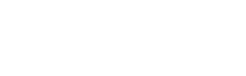 logo-30-ans-consultim.P_blanc